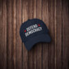 Defend Democracy Embroidered Hat