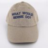 What Would Bernie Do? Hat
