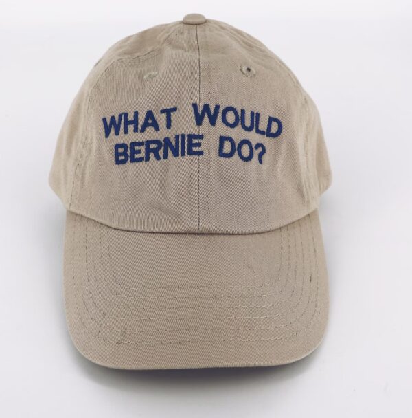 What Would Bernie Do? Hat
